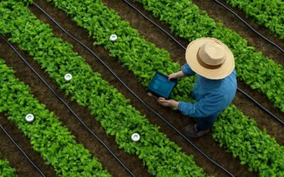 Unlock farming potential with internet of things for agriculture: sensors, data, and yields